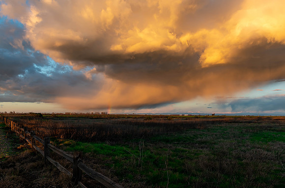 MercedNWR201902 (179)