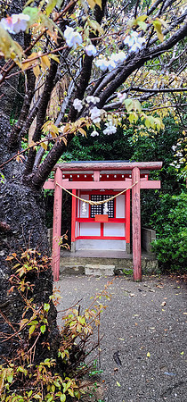 20250304AburatsuJapan_0808
