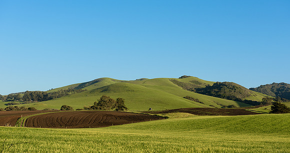 Los Osos CA