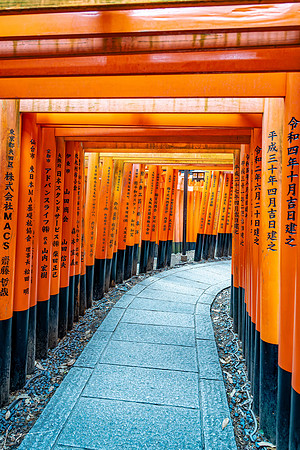 20250228OsakaJapan_0110_DxO