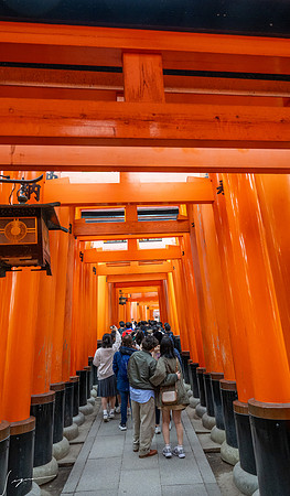 20250228OsakaJapan_0070