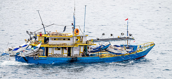 20250109Bitung,Sulawesi,Indonesia_0345