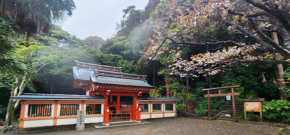 20250304AburatsuJapan_0803