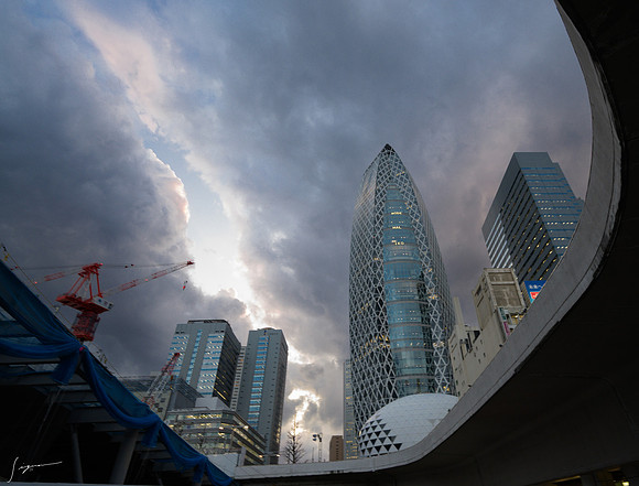 20250318Tokyo_0019