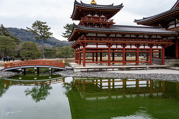 20250228OsakaJapan_0277