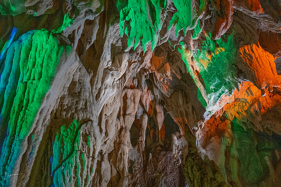 20240925Kochi_0273