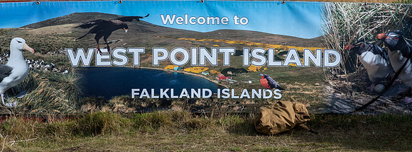 FalklandIslandsWestPointIsland20200316_1304-Pano