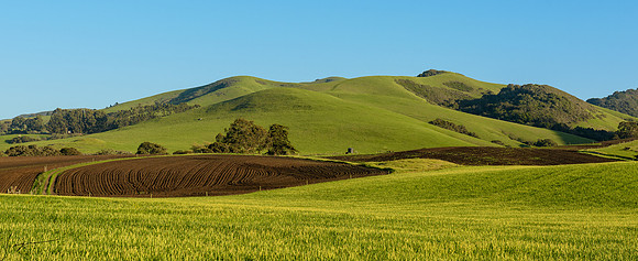 Los Osos CA