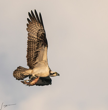 BlueCypressLake20190411_0544-Edit