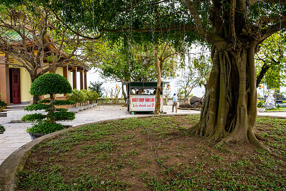 20250211DaNangVietnam_1415