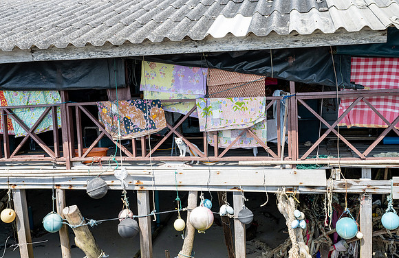 20250203KohSamuiThailand_0239