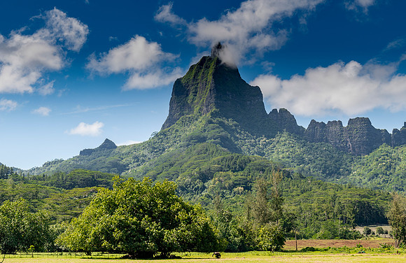 MooreaFrenchPolynesia20191206_0043