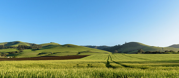 Los Osos CA