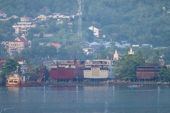 20250109Bitung,Sulawesi,Indonesia_0213