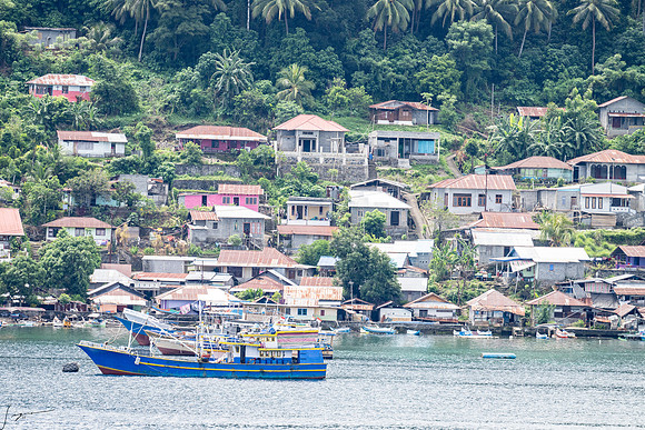 20250109Bitung,Sulawesi,Indonesia_0270