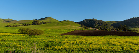 Los Osos CA