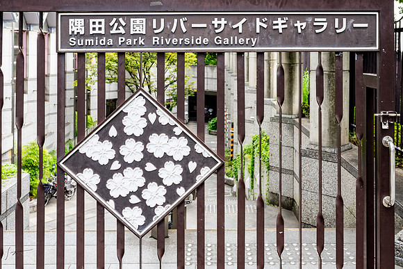 20240920-21Yokahama_1348