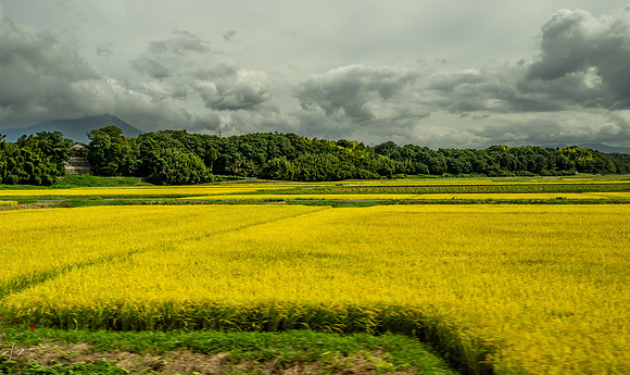 _Z8D4854_0494