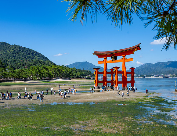 20240926Hiroshima_0158