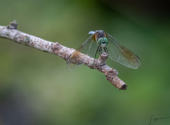 CircleBBarReserve20190414_0444