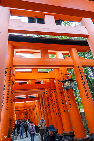 20250228OsakaJapan_0094