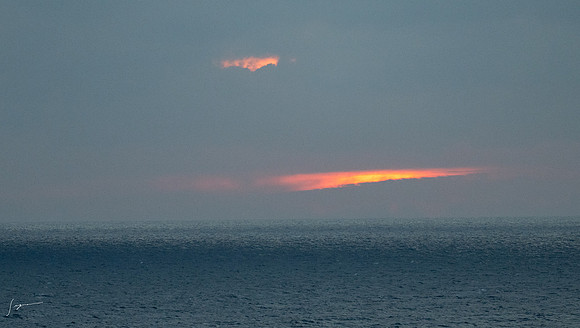 20240927SeaDayKanmonStrait_0045