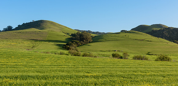 Los Osos CA