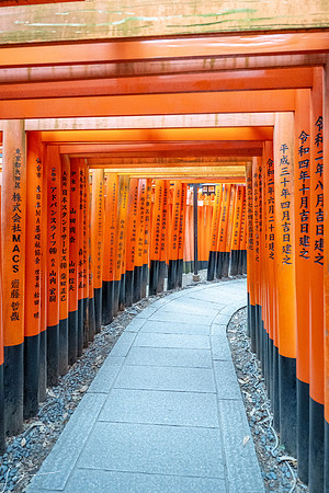 20250228OsakaJapan_0109