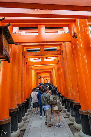 20250228OsakaJapan_0075