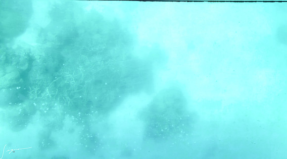 20250116_062411