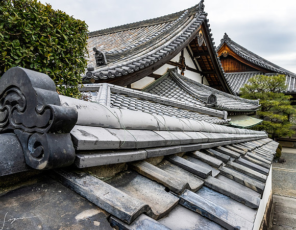 20250228OsakaJapan_0275-Edit