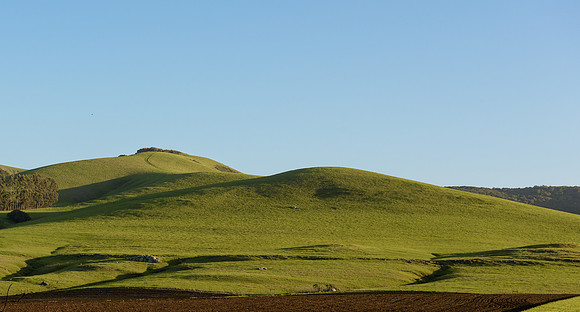 Los Osos CA