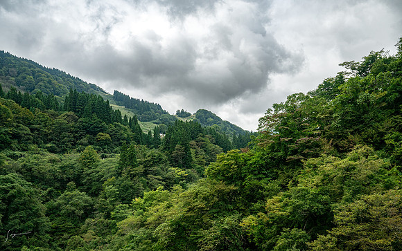 20240929Toyama_0081