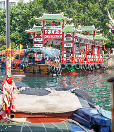 20250216HongKong_0596