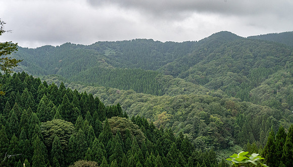 20240929Toyama_0047