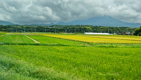 _Z8D4818_0458