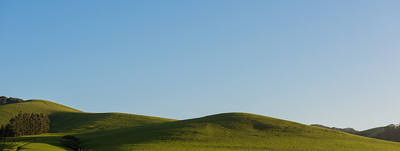Los Osos CA